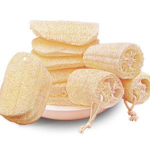 SP609 towel-gourd sponge Dishwashing sponge  